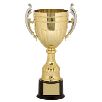 Gold/Silver Plastic Completed Cup Trophy