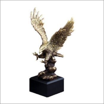 Eagle Landing On Rocks