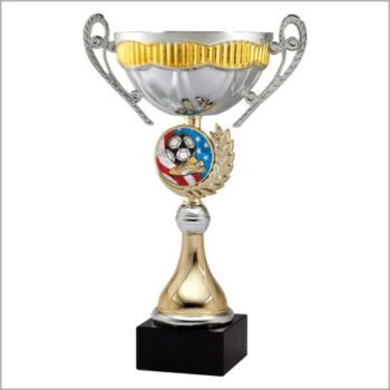Gold and Silver Metal Cup with 2" Mylar Area on Base