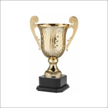 Metal Cup On Wood  Finish Base