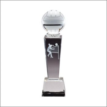 Collegiate Volleyball, Female Crystal Award