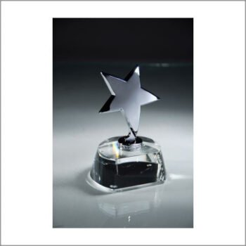 Star On Crystal Horseshoe