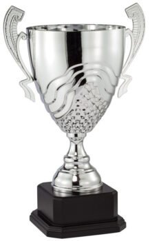 Silver Metal Cup