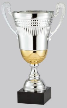 Silver and Gold Cup