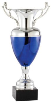 Silver and Blue Award Cup