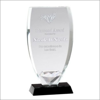 Glass Shield Award