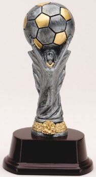 Soccer World Cup