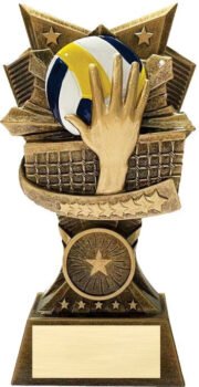 Resin Full Color Award - Volleyball