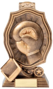 Boxing Belt Resin Award