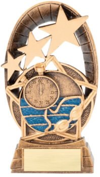 Swim Resin Award