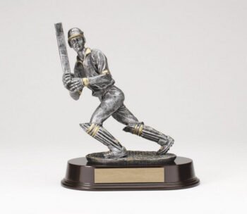 Cricket Batsman