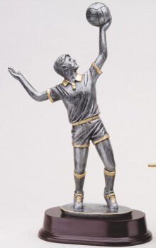Male Volleyball