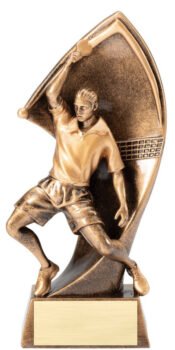 Table Tennis Resin Award