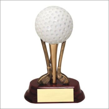 Golf Ball On Clubs