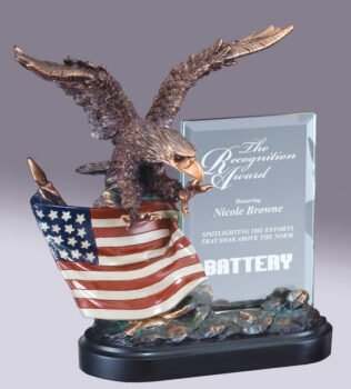 Eagle On Flag With Glass