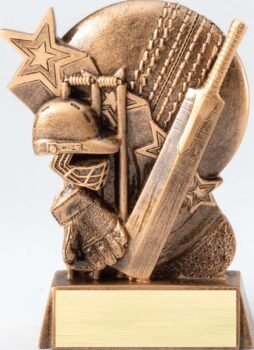 Sculpted Resin Hype Theme Star Sports Award - Cricket