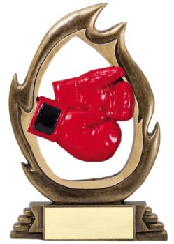 Flame Series -Boxing