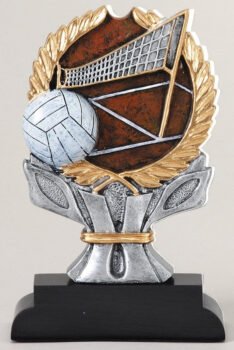 Impact Series -Volleyball