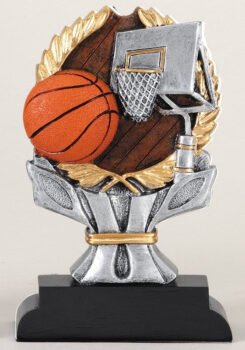 Impact Series -Basketball