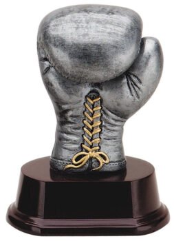 Boxing Glove