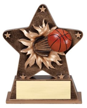 Star Burst Resin -Basketball