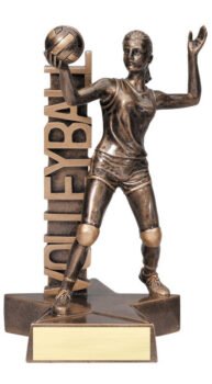Billboard Series -Volleyball Female