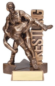 Billboard Series -Wrestling Male