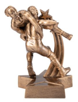 Super Star Series - Female Wrestler