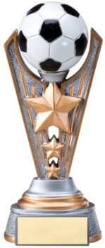 Full Color Award -Soccer Ball