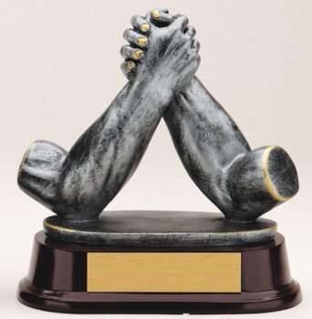 Art Wrestling Award