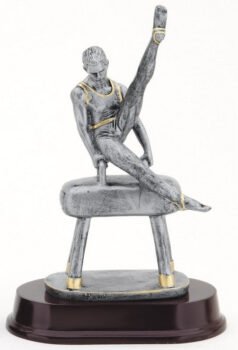 Gymnastic, Male