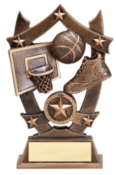 3D Sport Stars -Basketball