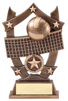 3D Sport Stars -Volleyball