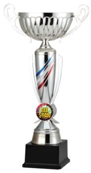 Corporate Trophies