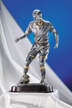 Push Soccer